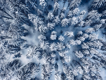 Skiurlaub im Skijuwel Alpbachtal Wildschönau inkl. Frühstück | 5 Nächte