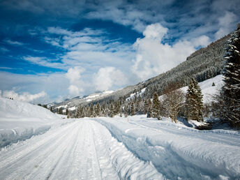 Skiurlaub im Skijuwel Alpbachtal Wildschönau inkl. Frühstück | 7 Nächte