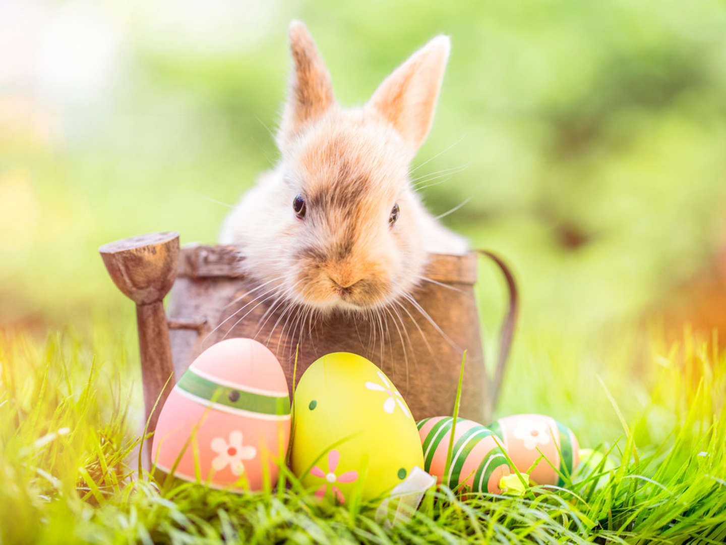 5 Tage Osterferien in Loipersdorf - Thermenurlaub mit der ganzen Familie