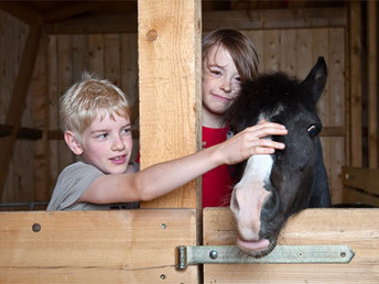 Tierisches Landerlebnis in der Steiermark – Familienurlaub mit Alpaka-Wanderung  I 2 Nächte