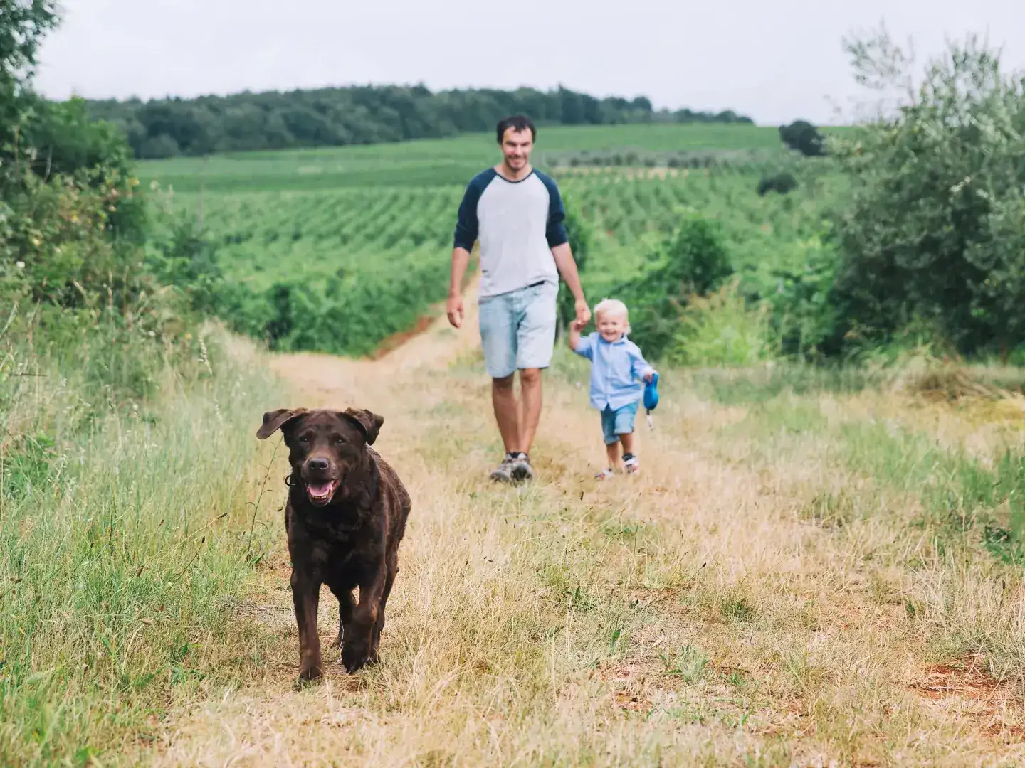 Urlaub mit Hund in Oberösterreich: 5 Nächte voller Abenteuer und Erholung für alle!  