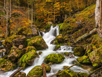 Herbstzeit und Hirschlosn | von 27. - 29. September inkl. geführter Wanderung, Wildmenü & Hirschlosn