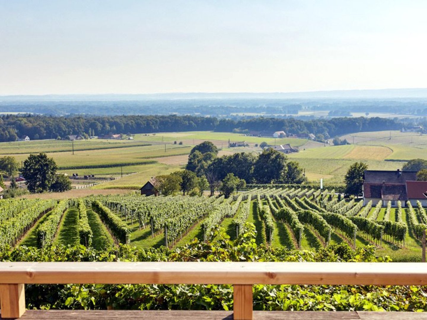 Erholungsurlaub in der Südsteiermark - Luxus Lodge inkl. Wellnessgenuss | 6 Nächte