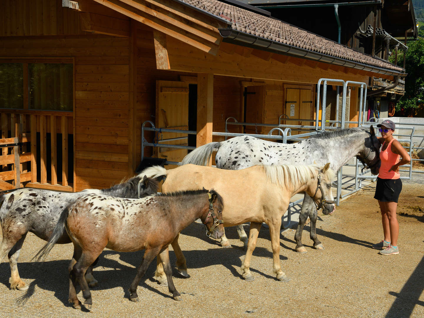 Familienurlaub in Großarl - Berge, Natur & Streichelzoo | 7 Nächte