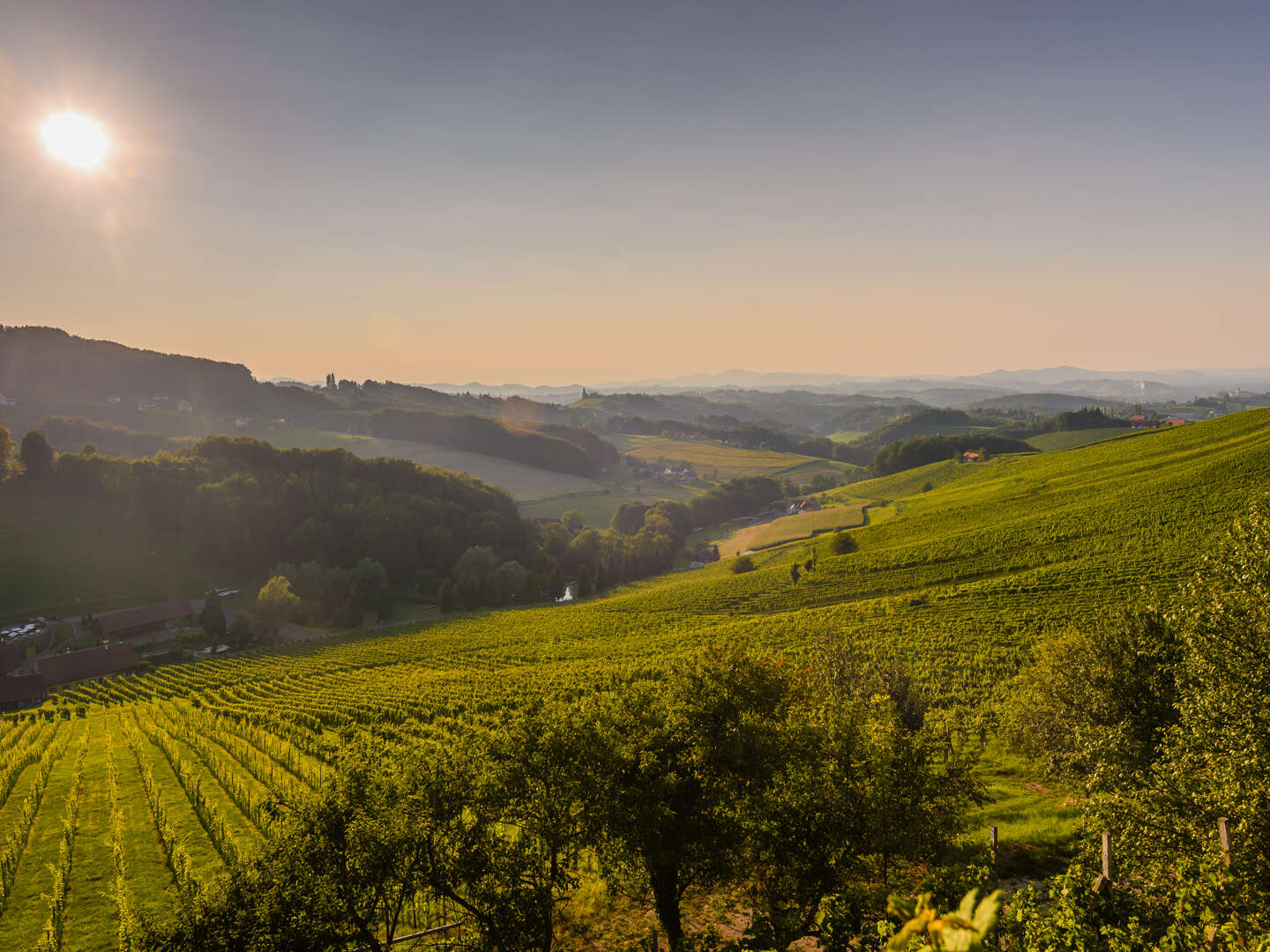 Burgen, Thermen & Wein im Südburgenland | 7 Nächte im Hotel Freiraum Güssing inkl. Burgenland Card