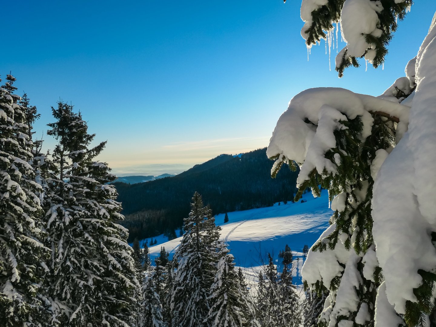 Winterurlaub in der Oststeiermark inkl. Genusscard & Wellness | 2 Nächte