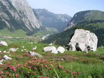 Bergsommer in der Silberregion Karwendel | 5 Nächte