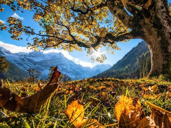 Bergsommer in der Silberregion Karwendel | 5 Nächte