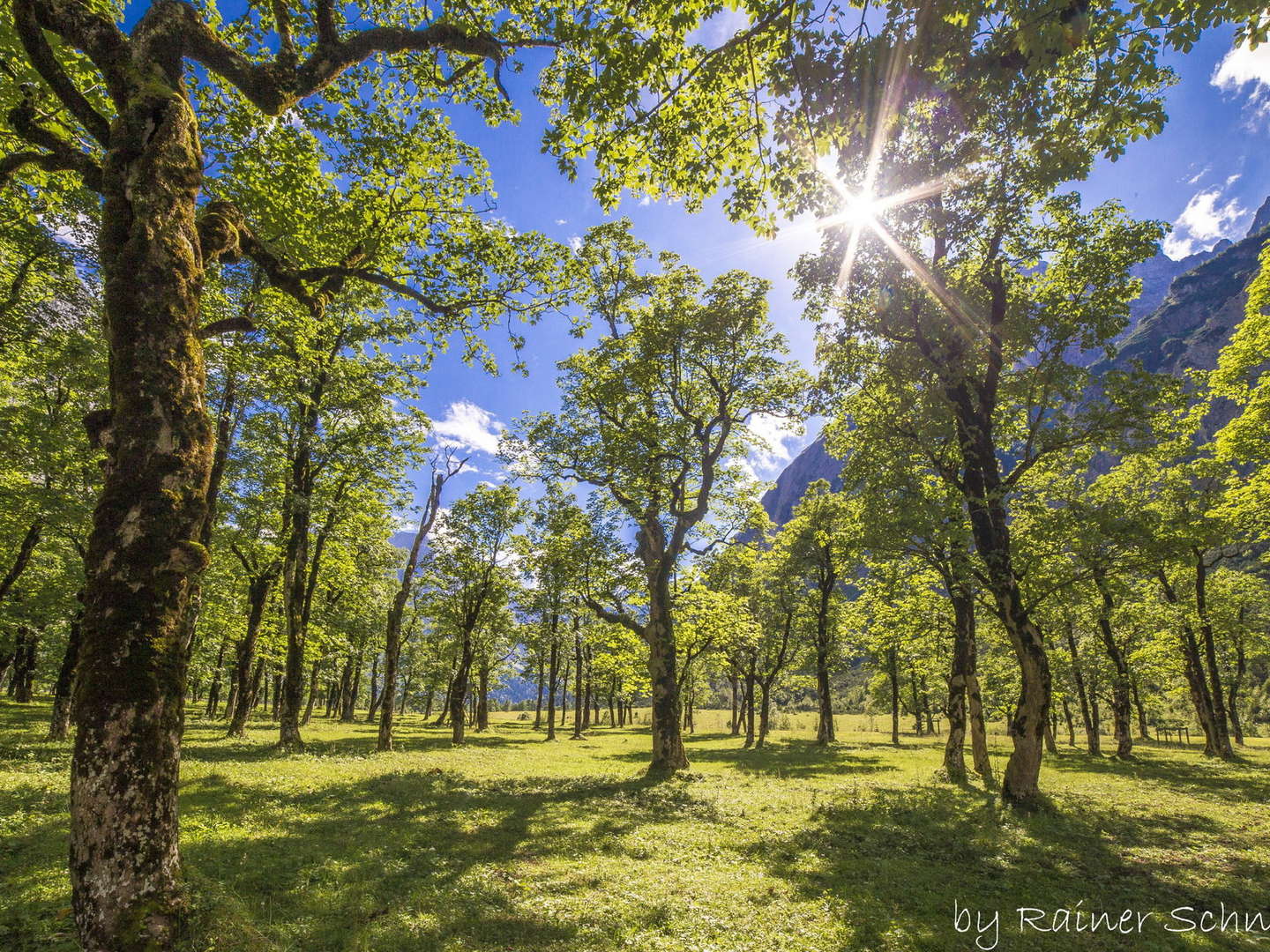 Bergsommer in der Silberregion Karwendel | 5 Nächte