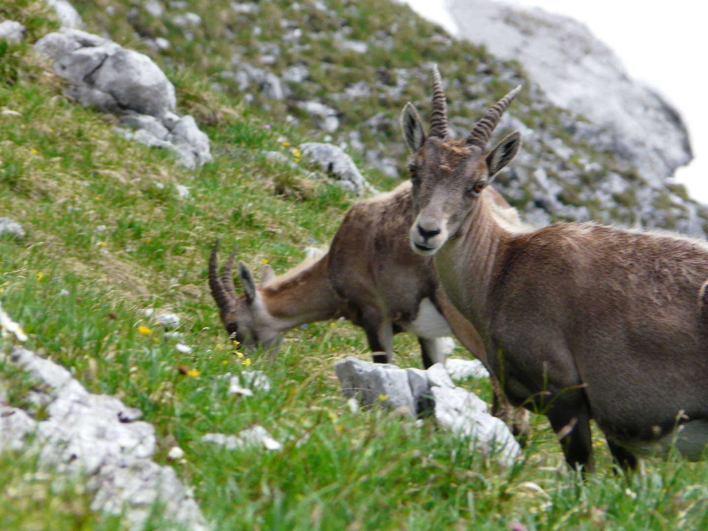 E-Biken im Karwendel inkl. Wahlmenü 