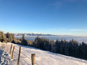 Erholungsurlaub - Auszeit mit Privatstrand am Klopeiner See | 6 Nächte