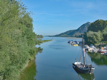 Entlang am Rhein: E-Bike Ausflug auf dem Rheinradweg