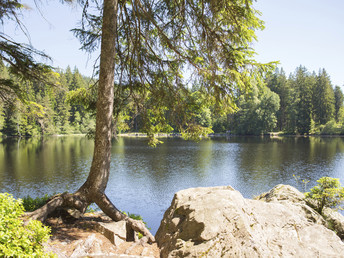 Genießer Tage im Schwarzwald zwischen Schluchsee & Titisee