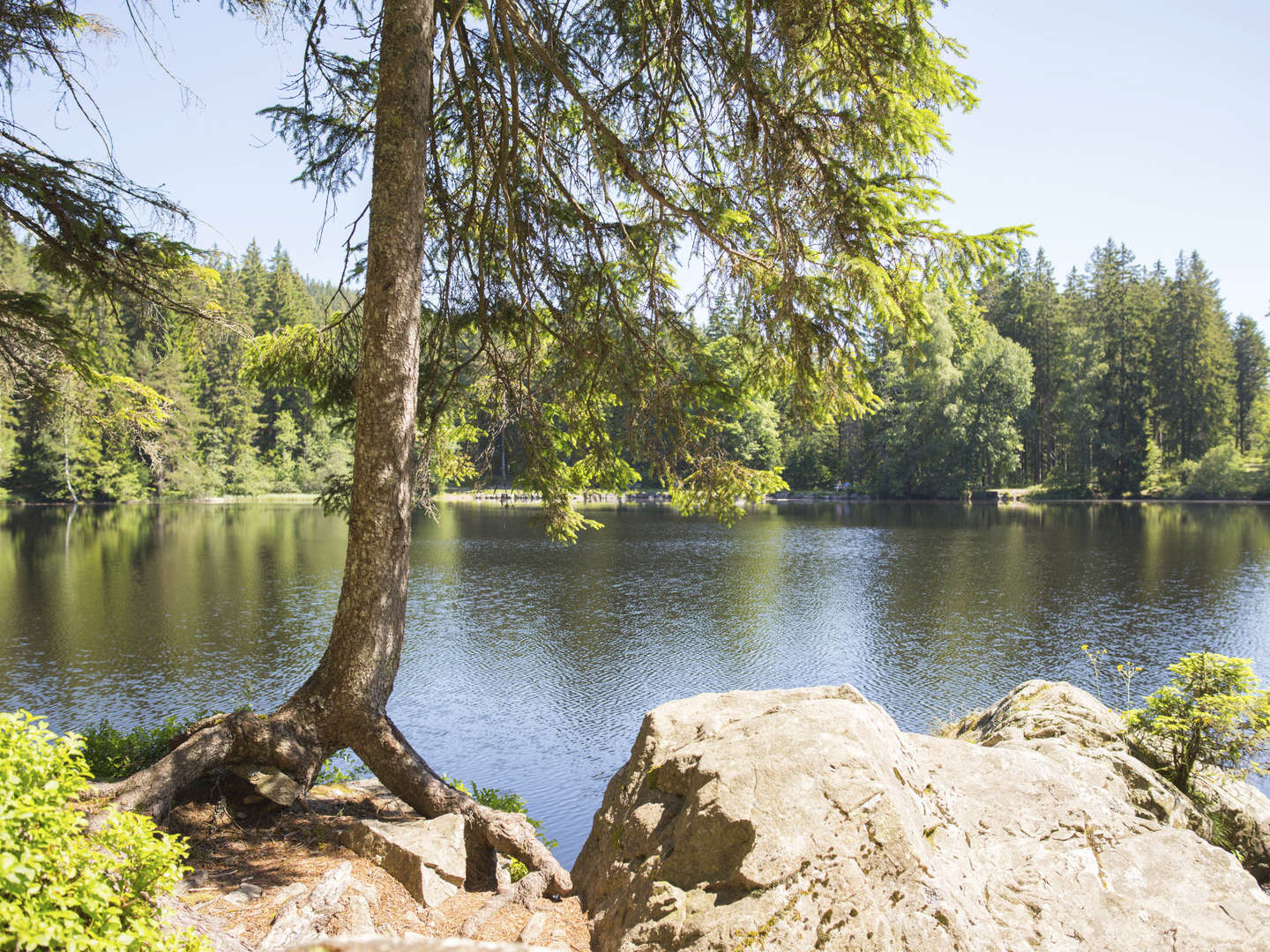 Schlemmerwochenende im Schwarzwald zwischen Schluchsee & Titisee