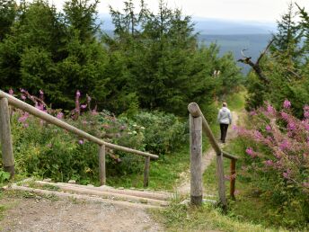 Familiensommer im Erzgebirge