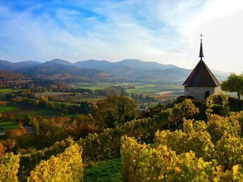 Schönes Land in Sicht! 6 Tage mit dem Fahrrad durchs Markgräflerland 