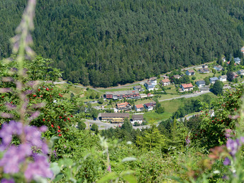 Kleine Auszeit im Schwarzwald