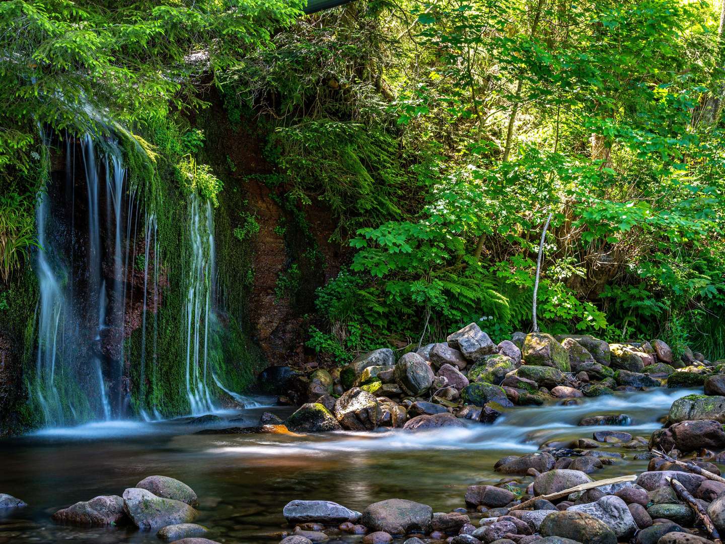 Kleiner Wellnessurlaub | 5 Tage im Schwarzwald