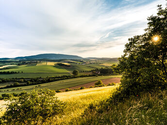 Zwischen Rhein & Wein -5 Tage in der Pfalz inkl. Menü