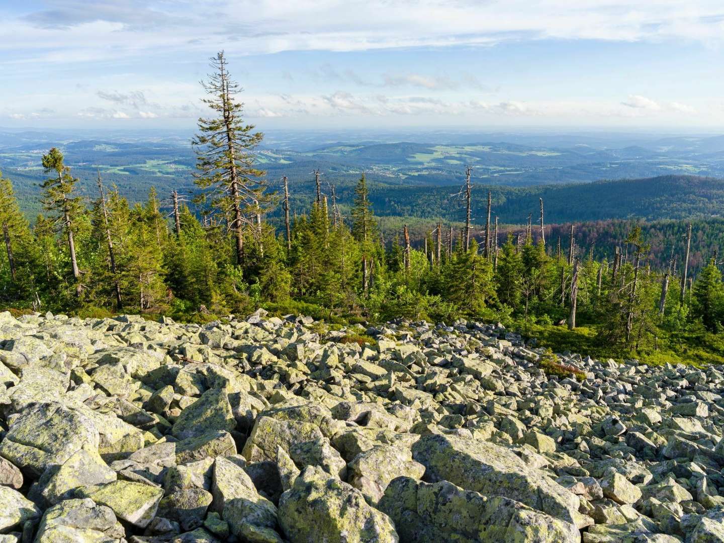 Wald-Auszeit zu zweit – 3 Tage im Bayerischen Wald