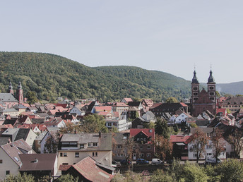 Fürstenresidenz Amorbach entdecken