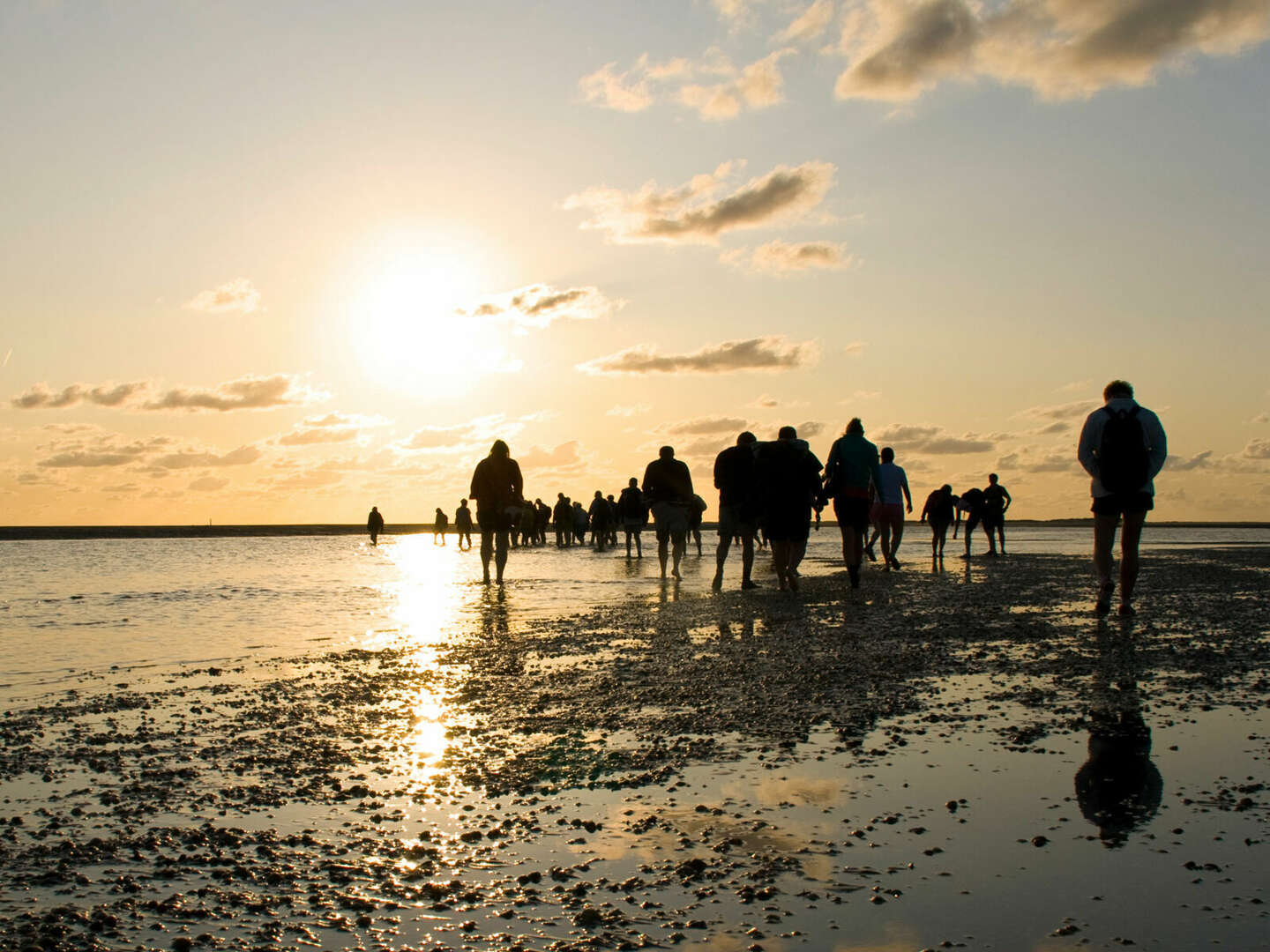 Inselschnuppern auf Föhr