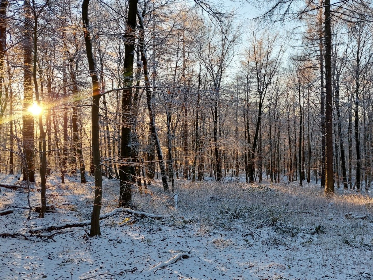 1 Tag - Fit durch den Winter in Barsinghausen bei Hannover