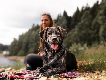 Urlaub mit „VIER“-Pfoten im Ötztal | 2 Nächte