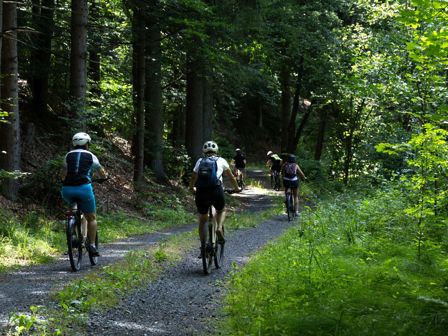 Sommergenuss im Waldviertel am Stausee inkl. Halbpension | 3 Nächte