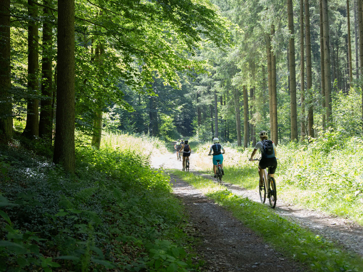 Waldviertler E-Bike Abenteuer in Ottenstein inkl. geführter Tour & regionaler Verkostungen | 2 Nächte