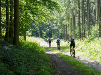 Waldviertler E-Bike Abenteuer in Ottenstein inkl. geführter Tour & regionaler Verkostungen|3 Nächte 