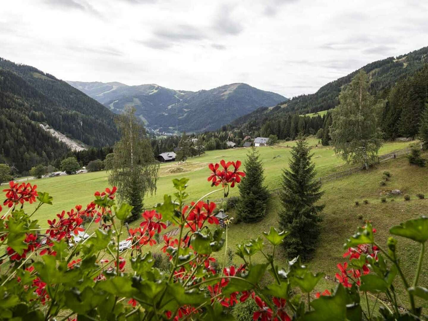 Winterurlaub inmitten der Nockberge - Natur pur mit kulinarischem Genuss | 4 Nächte 