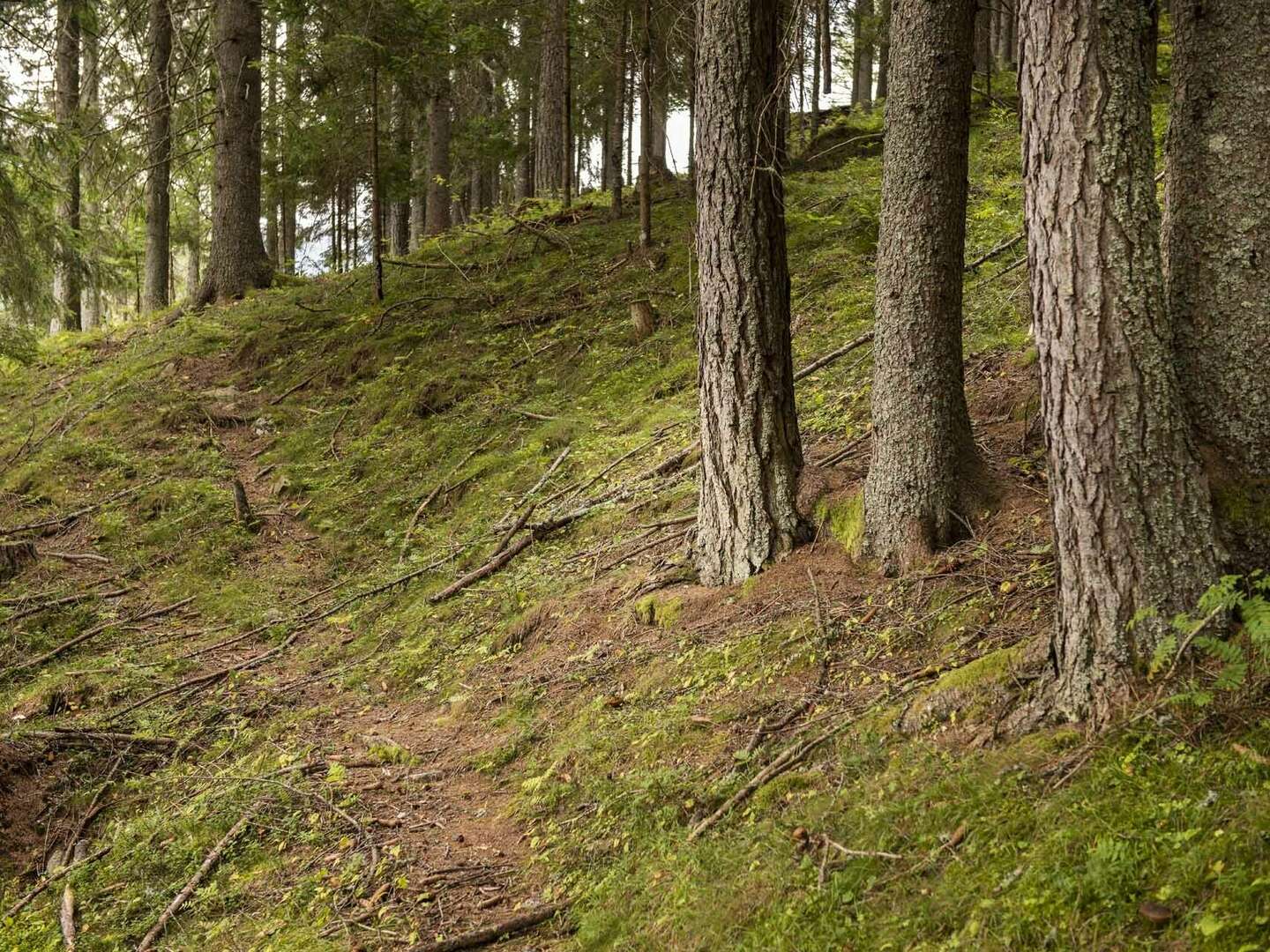 Winterurlaub inmitten der Nockberge - Natur pur mit kulinarischem Genuss | 4 Nächte 