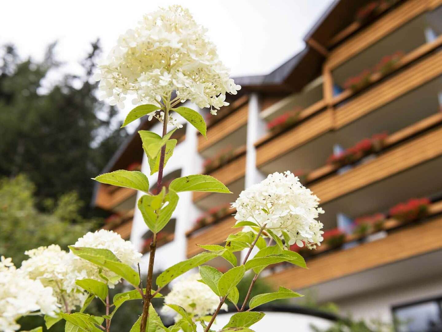 Winterurlaub inmitten der Nockberge - Natur pur mit kulinarischem Genuss | 4 Nächte 