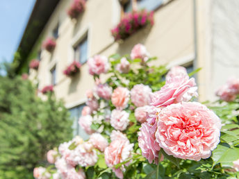 2 Nächte Kurzurlaub - Ausgangspunkt für zahlreiche Aktivitäten