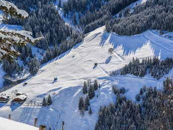 Ferienskilauf im Salzburger Land mit Kulinarik | 4 Nächte 