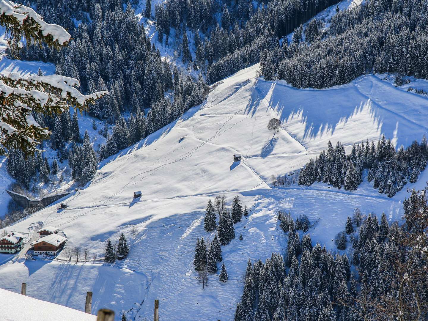 AusZeit im Salzburger Großarltal inkl. Genießerkulinarik | 4 Nächte 