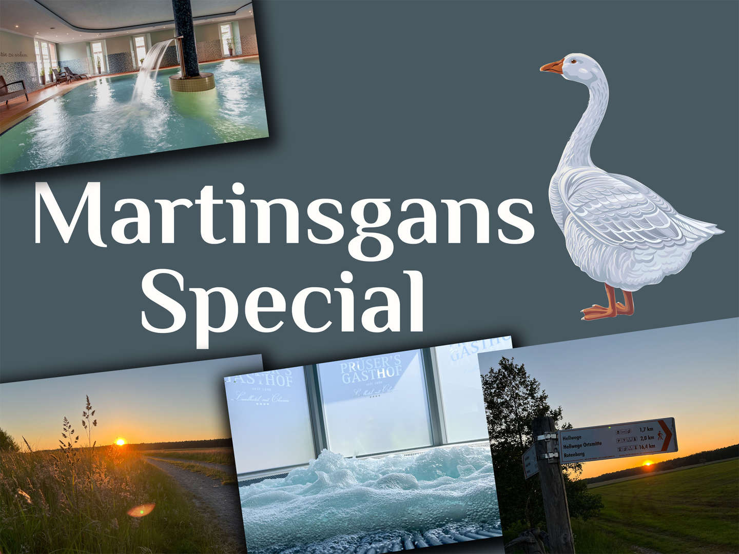 Martinsgans Special in der Lüneburger Heide