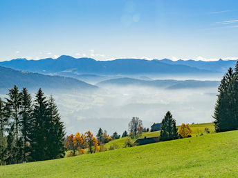 Städtetrip nach Bregenz - Natur, Kultur & unvergessliche Erlebnisse am Bodensee | 6 Nächte