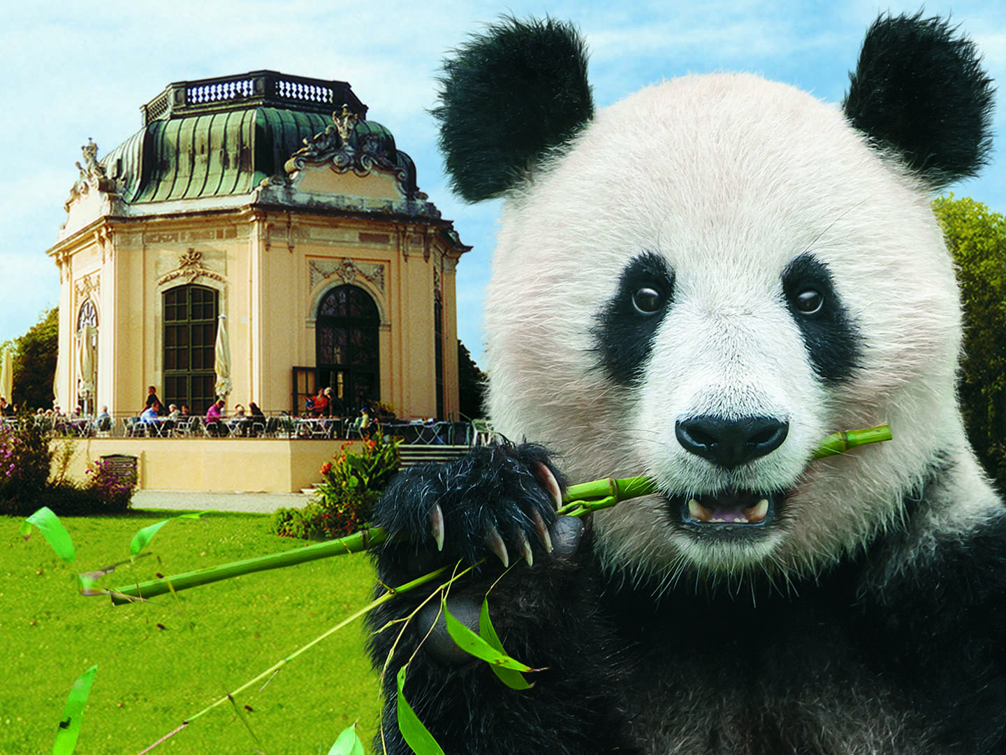 Tierischer Städteurlaub in Wien inkl. Tiergarten Schönbrunn | 1 Nacht