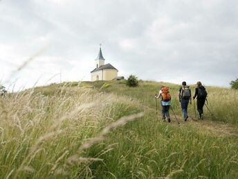 Familienurlaub im Weinviertel inkl. Eintritt in DIE GARTEN TULLN | 1 Nacht