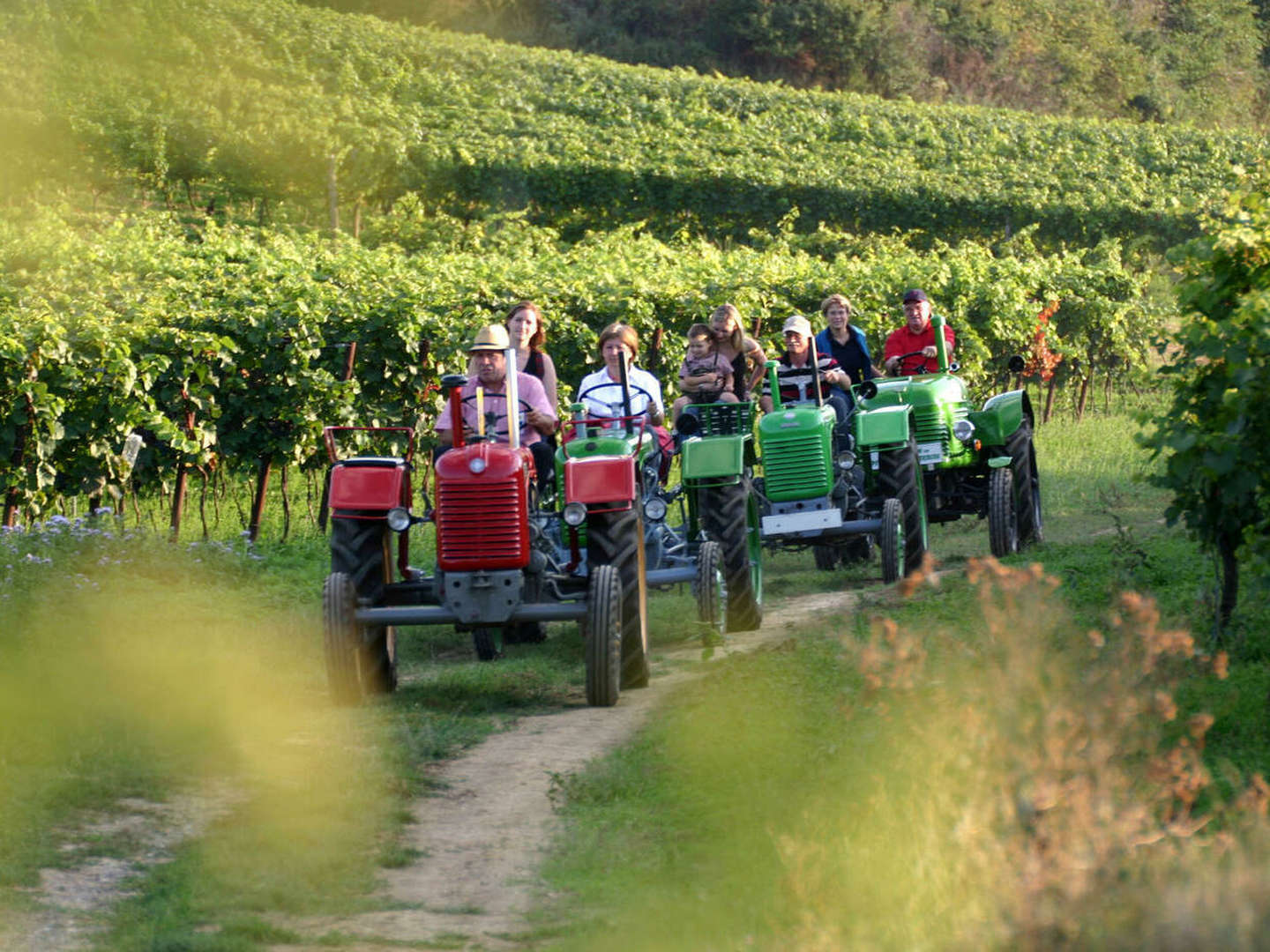 Genussurlaub im Weinviertel inkl. Sekt & 5-Gang-Menü | 1 Nacht