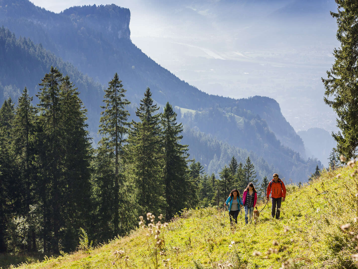 Wanderlust im Vierländer-Eck | 5 Nächte