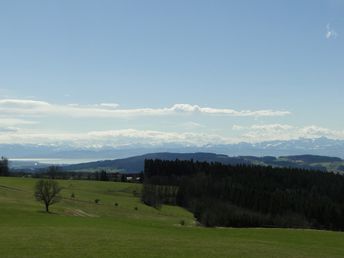 Höchsten Genuss - Start in die Woche