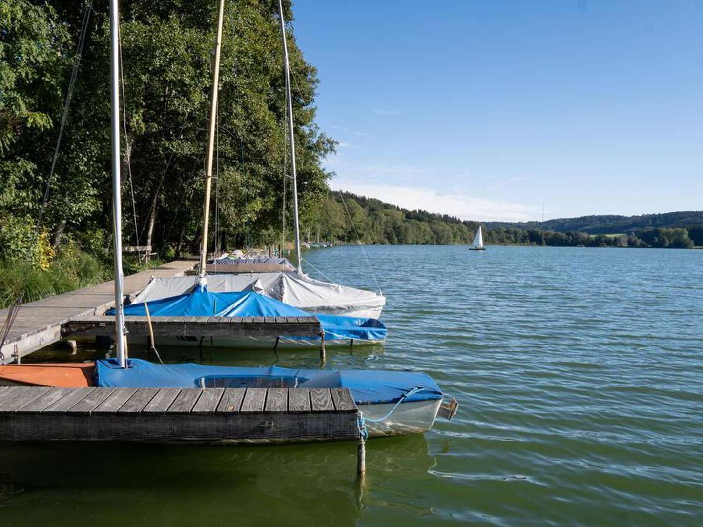 Höchsten Genuss - Start in die Woche