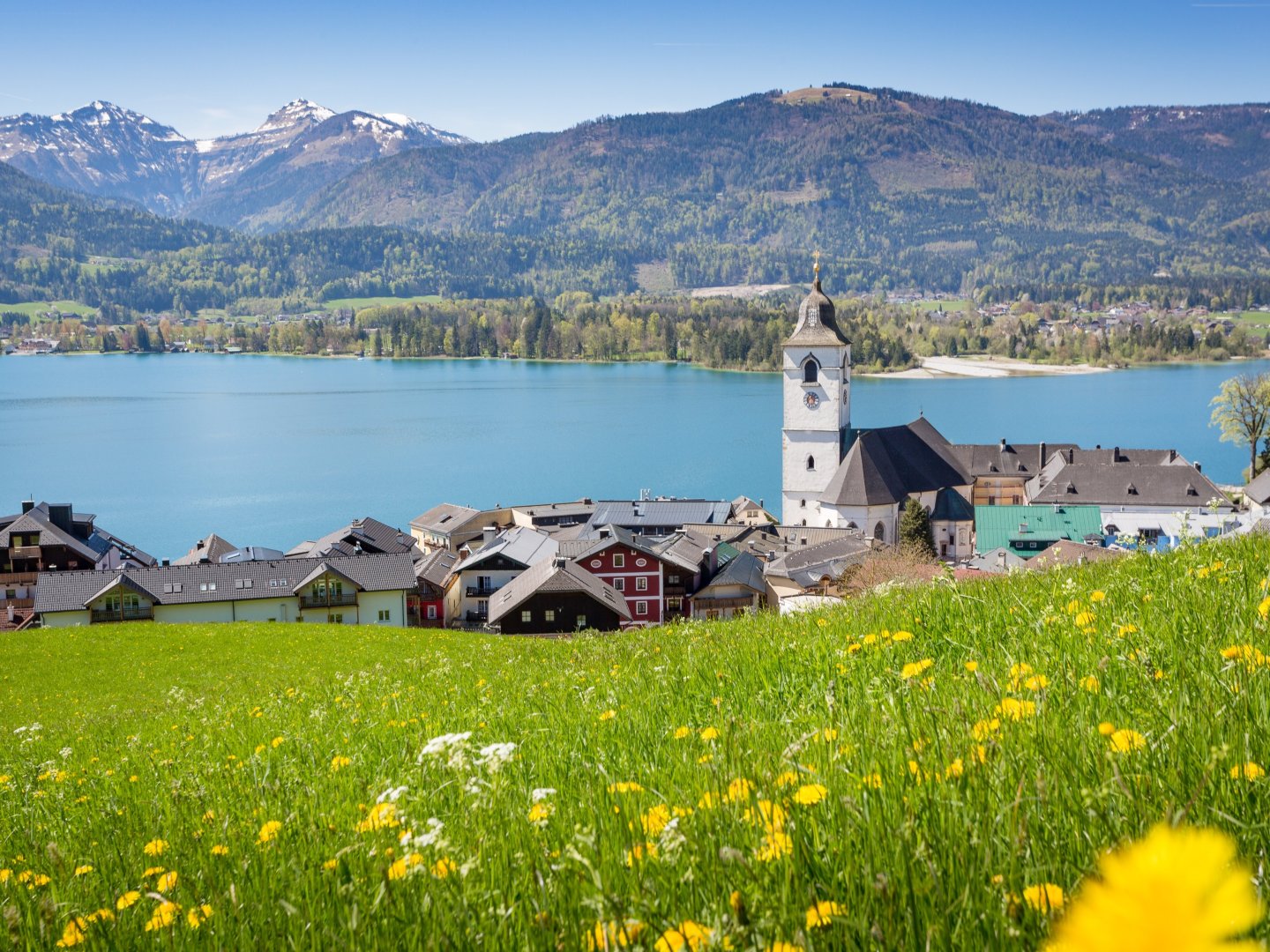 Frühlingserwachen am Wolfgangsee - Natur pur im Salzburger Land | 5 Nächte