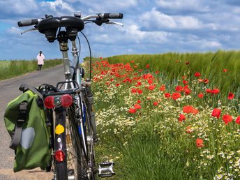 Fahrradiesisches Münsterland (7 Tage)