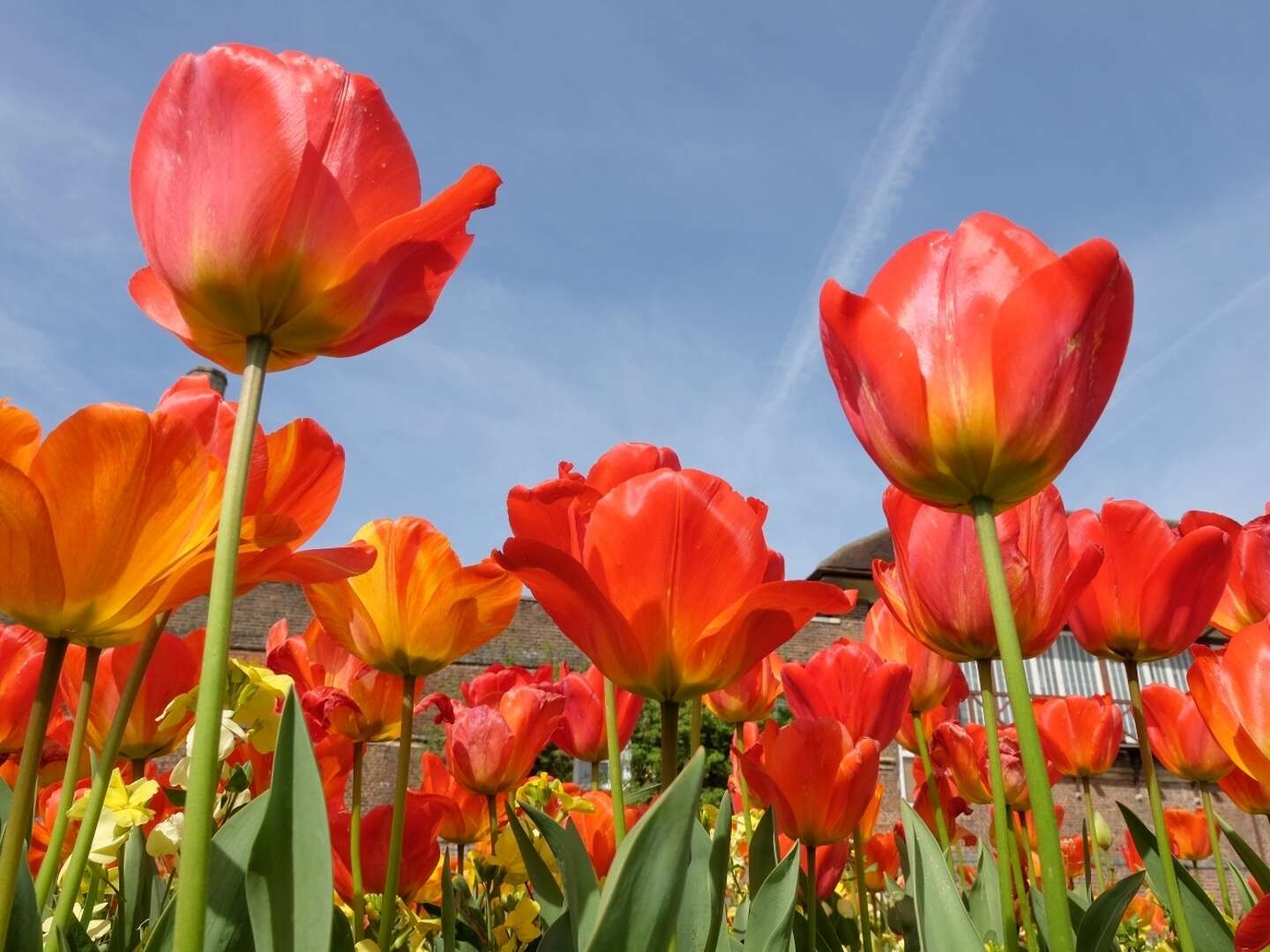 Entspannung und Natur in der Provinz Garderen Niederlande  3 Nächte 