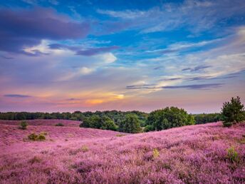 Kurzurlaub nahe Arnhem: Kultur und Natur erleben 1 Nacht