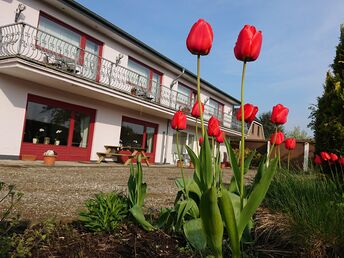 Schlei-Frühling für Selbstversorger